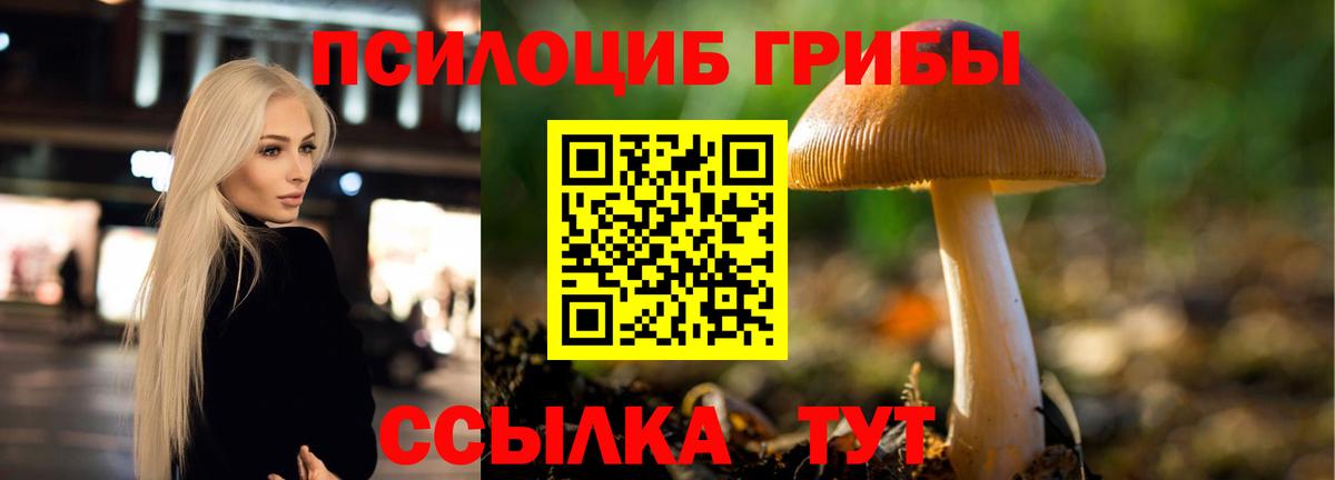 Псилоцибиновые грибы GOLDEN TEACHER  Галлюциногенные грибы Cubensis  Вход с VPN  Иркутск 